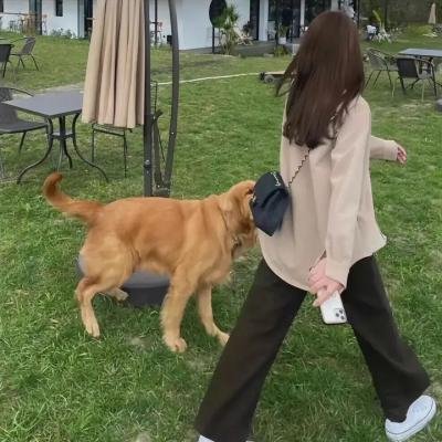 吃喝玩乐搜城记